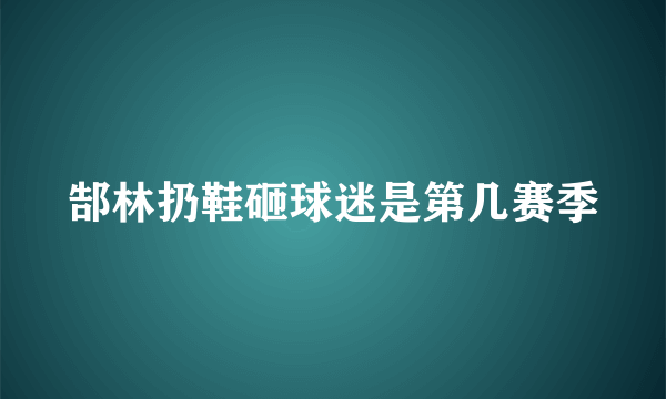 郜林扔鞋砸球迷是第几赛季