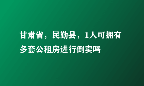 甘肃省，民勤县，1人可拥有多套公租房进行倒卖吗