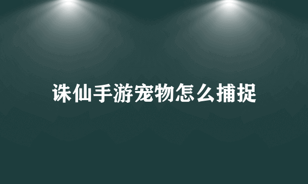 诛仙手游宠物怎么捕捉