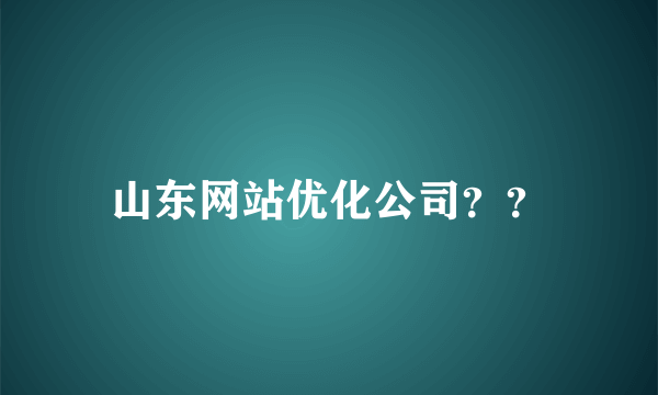 山东网站优化公司？？