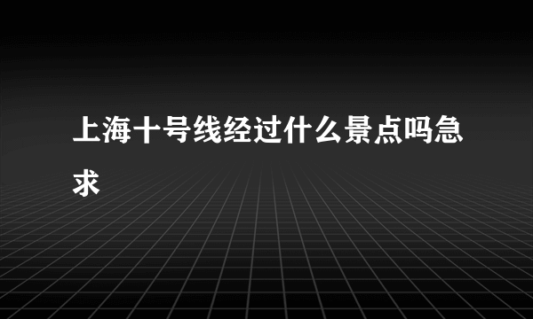 上海十号线经过什么景点吗急求