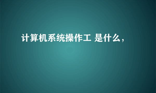 计算机系统操作工 是什么，