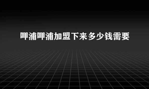 呷浦呷浦加盟下来多少钱需要