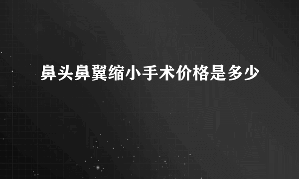 鼻头鼻翼缩小手术价格是多少