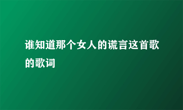 谁知道那个女人的谎言这首歌的歌词