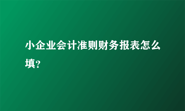 小企业会计准则财务报表怎么填？