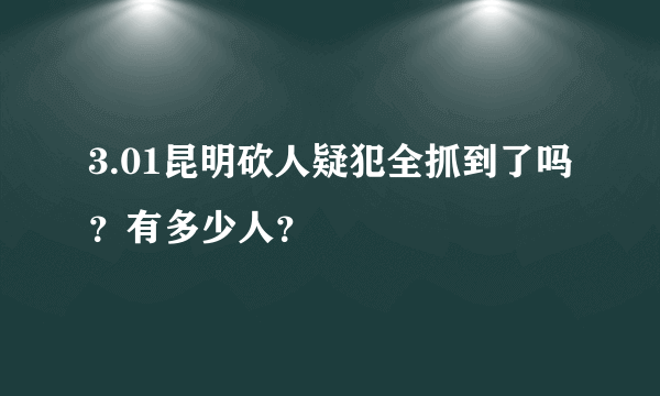 3.01昆明砍人疑犯全抓到了吗？有多少人？