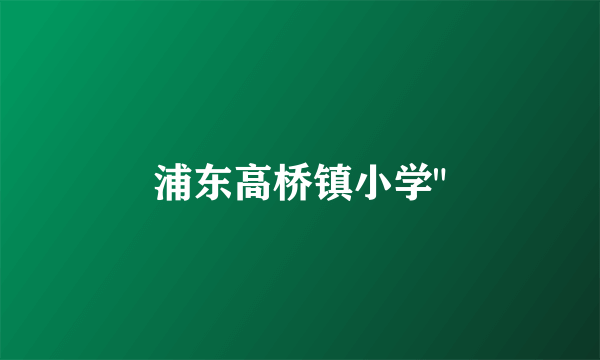 浦东高桥镇小学