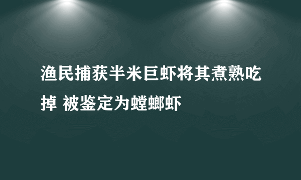 渔民捕获半米巨虾将其煮熟吃掉 被鉴定为螳螂虾