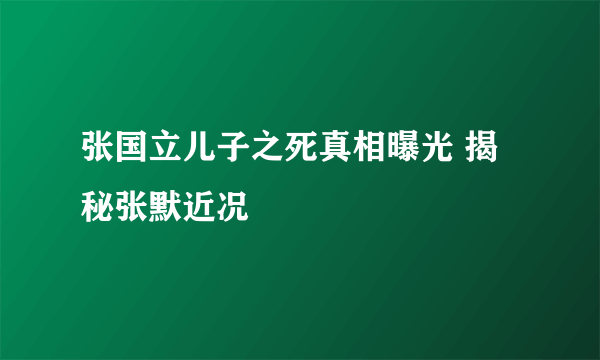 张国立儿子之死真相曝光 揭秘张默近况