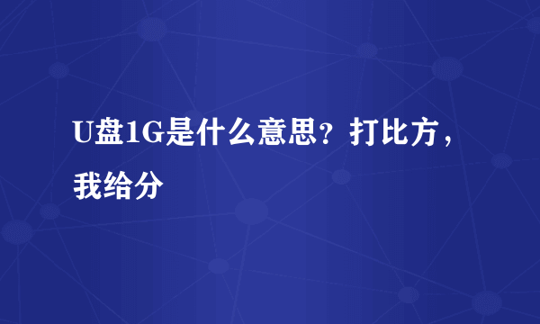 U盘1G是什么意思？打比方，我给分