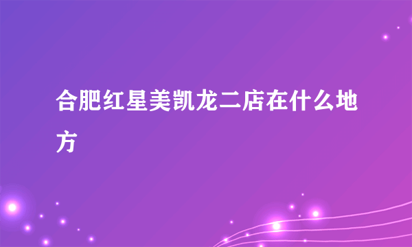 合肥红星美凯龙二店在什么地方