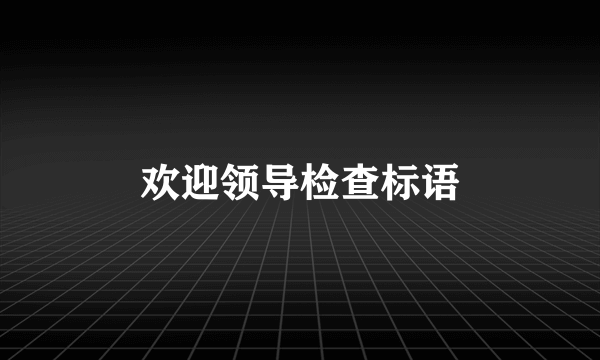 欢迎领导检查标语