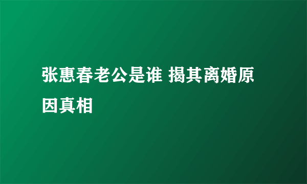 张惠春老公是谁 揭其离婚原因真相