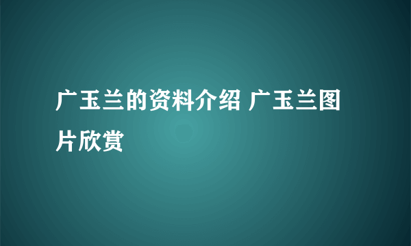 广玉兰的资料介绍 广玉兰图片欣赏