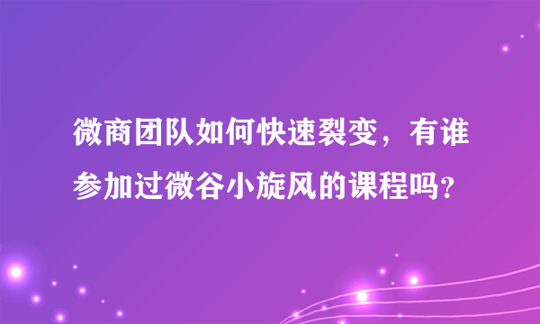 微商团队如何快速裂变，有谁参加过微谷小旋风的课程吗？