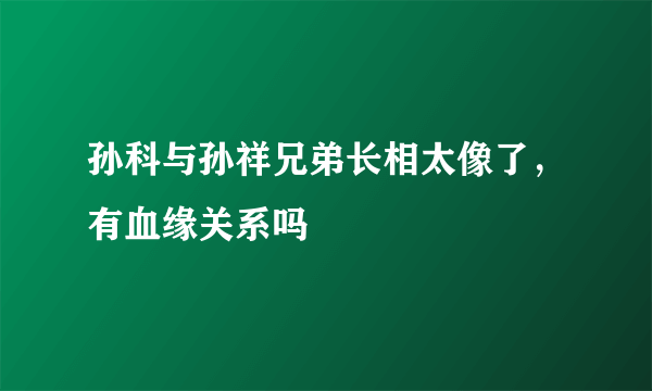 孙科与孙祥兄弟长相太像了，有血缘关系吗