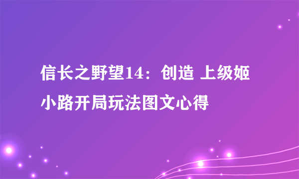 信长之野望14：创造 上级姬小路开局玩法图文心得