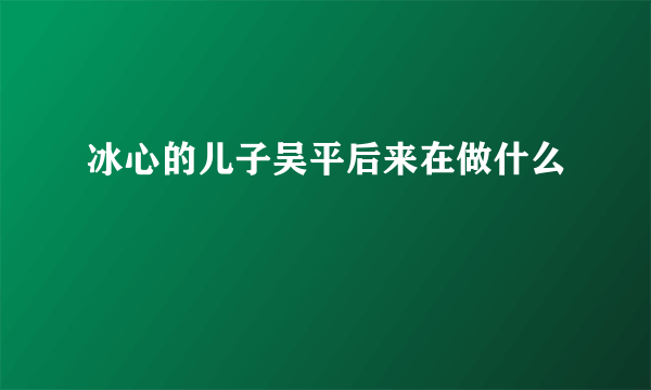 冰心的儿子吴平后来在做什么