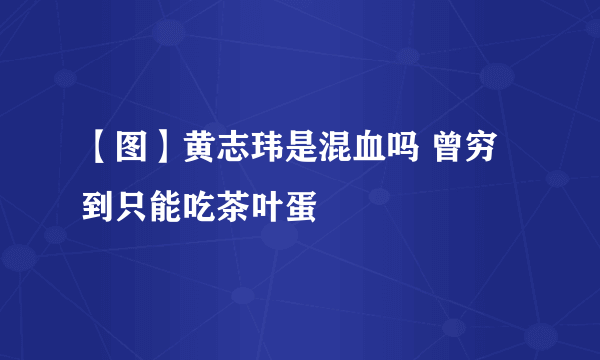 【图】黄志玮是混血吗 曾穷到只能吃茶叶蛋