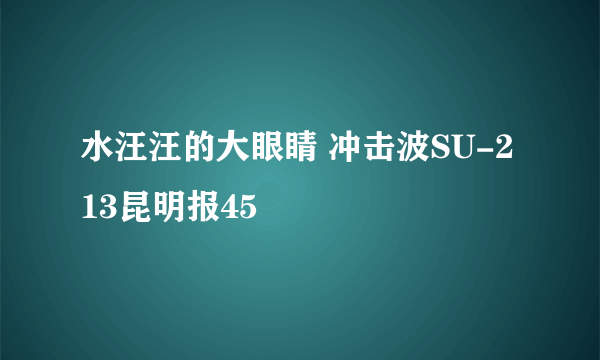 水汪汪的大眼睛 冲击波SU-213昆明报45