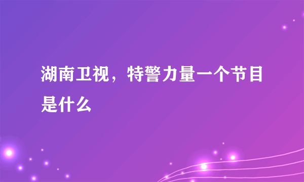 湖南卫视，特警力量一个节目是什么