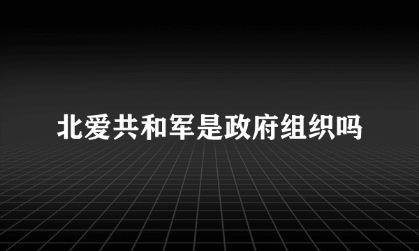 北爱共和军是政府组织吗