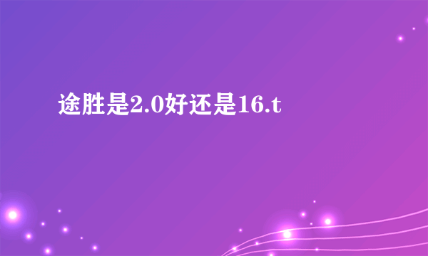 途胜是2.0好还是16.t