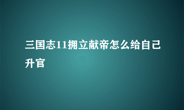 三国志11拥立献帝怎么给自己升官