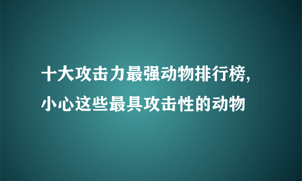 十大攻击力最强动物排行榜,小心这些最具攻击性的动物