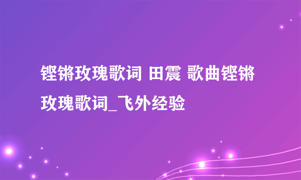 铿锵玫瑰歌词 田震 歌曲铿锵玫瑰歌词_飞外经验