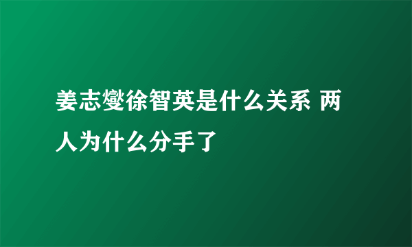 姜志燮徐智英是什么关系 两人为什么分手了