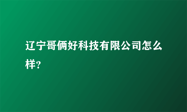 辽宁哥俩好科技有限公司怎么样？