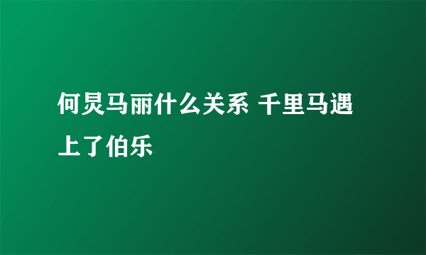 何炅马丽什么关系 千里马遇上了伯乐