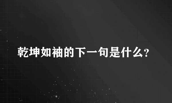 乾坤如袖的下一句是什么？