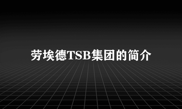 劳埃德TSB集团的简介