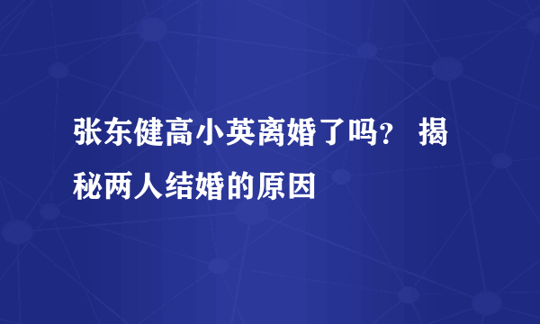 张东健高小英离婚了吗？ 揭秘两人结婚的原因