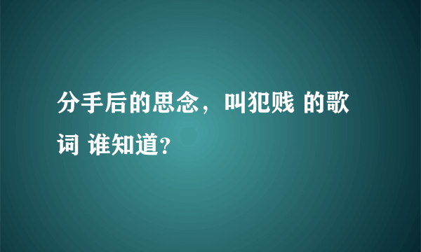 分手后的思念，叫犯贱 的歌词 谁知道？