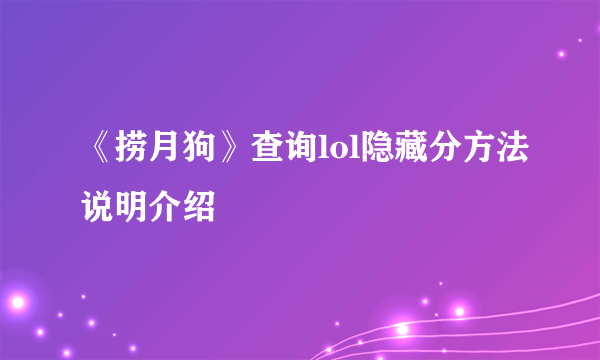 《捞月狗》查询lol隐藏分方法说明介绍