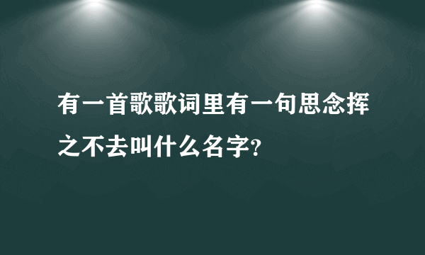 有一首歌歌词里有一句思念挥之不去叫什么名字？