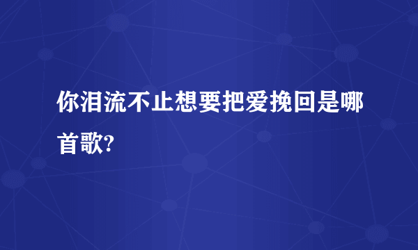 你泪流不止想要把爱挽回是哪首歌?