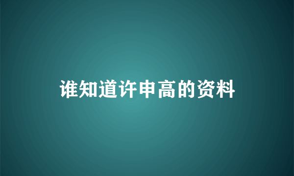 谁知道许申高的资料