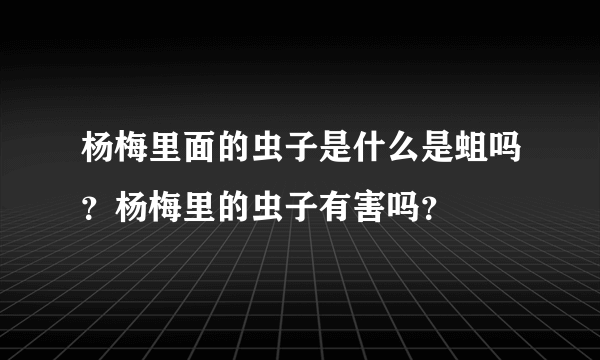 杨梅里面的虫子是什么是蛆吗？杨梅里的虫子有害吗？