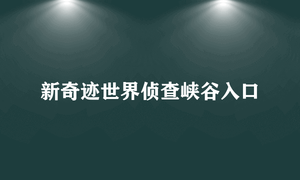 新奇迹世界侦查峡谷入口