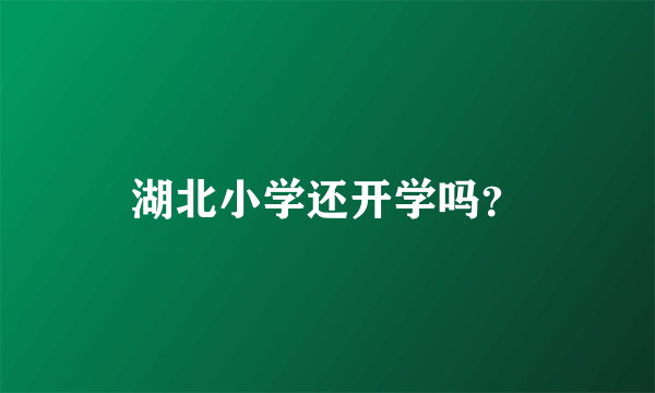 湖北小学还开学吗？