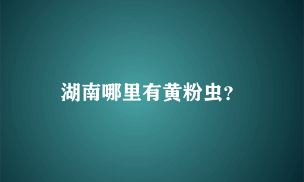 湖南哪里有黄粉虫？