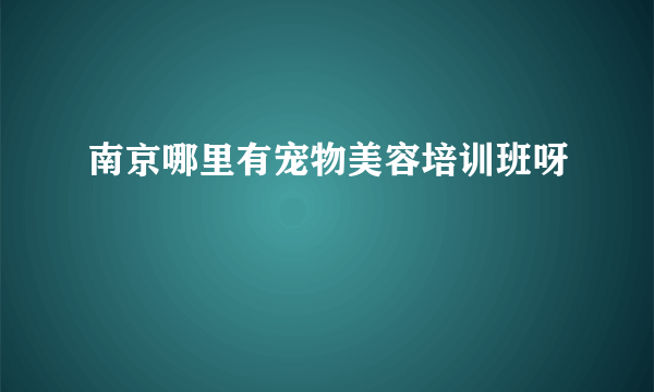 南京哪里有宠物美容培训班呀