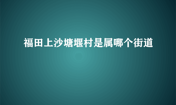 福田上沙塘堰村是属哪个街道