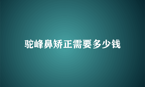 驼峰鼻矫正需要多少钱