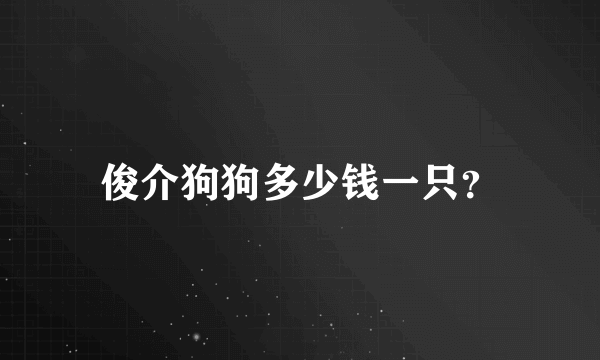 俊介狗狗多少钱一只？